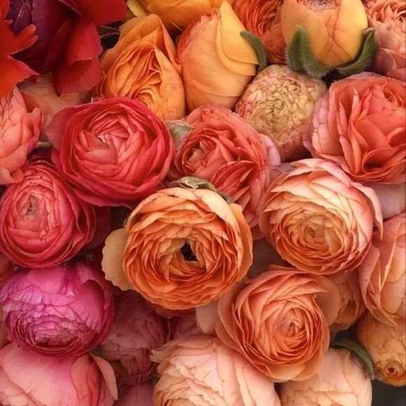 About Me - Picture 1 of 1